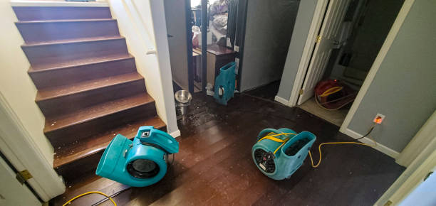 Best Residential water damage restoration  in Lake Secession, SC