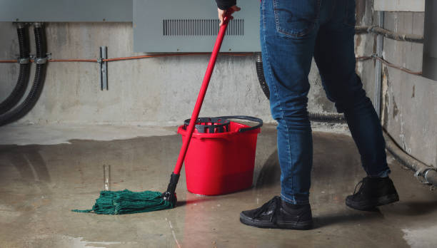  Lake Secession, SC Water damage restoration Pros