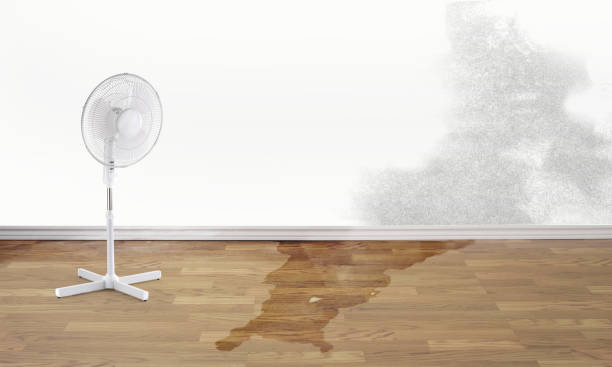 Trusted SC Water damage restoration Experts