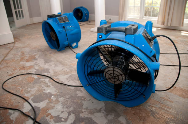 Best 24-hour water damage restoration  in Lake Secession, SC