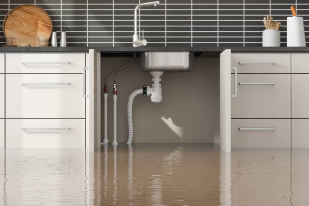 Best Commercial water damage restoration  in Lake Secession, SC