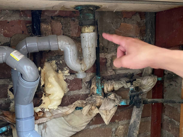 Best 24/7 water damage repair  in Lake Secession, SC